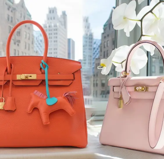 Newsletter Newsletter 1 difference between birkin and kelly