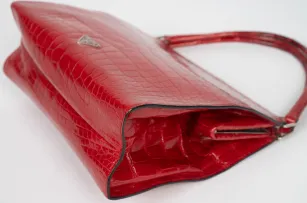 EVERYDAY BAGS Preowned Stampata Cocco 25 cm Red Shiny Crocodile Embossed 9 ~item/2024/10/2/lux09648